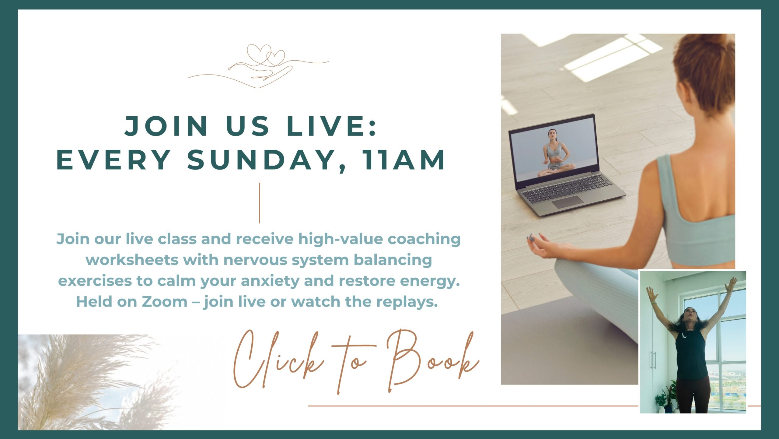 Nervous system coaching classes Nervous system coaching classes live every Sunday
