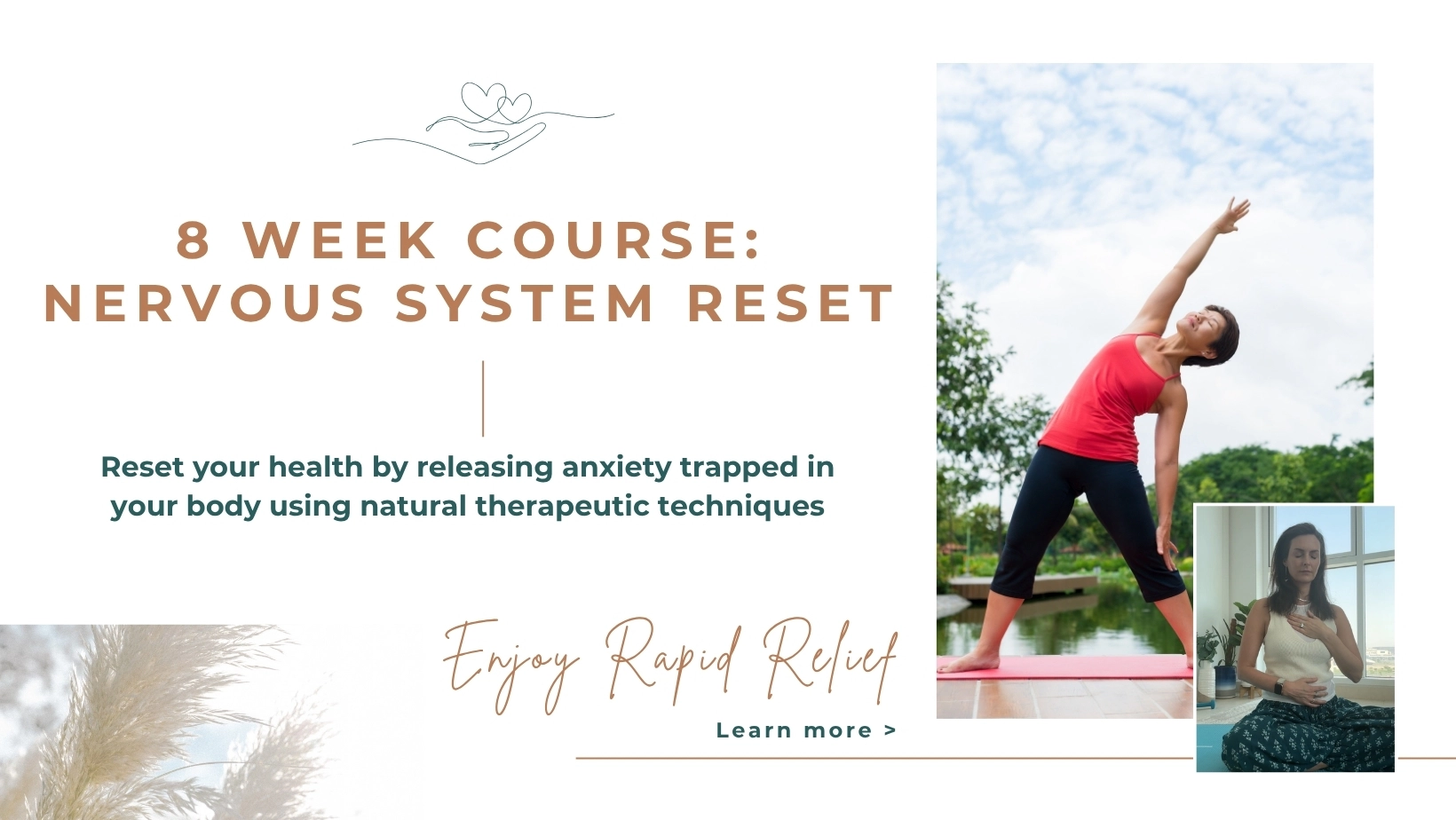 nervous system training course by Ellie Joslin