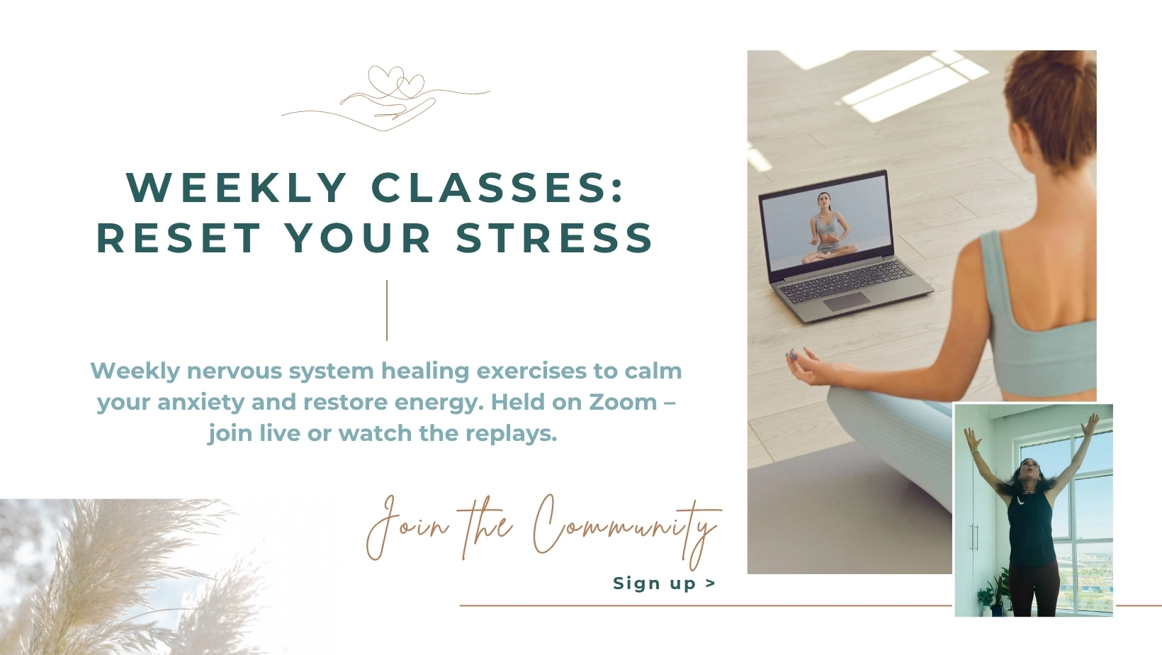 nervous system classes Weekly nervous system health and fitness classes by Ellie Joslin