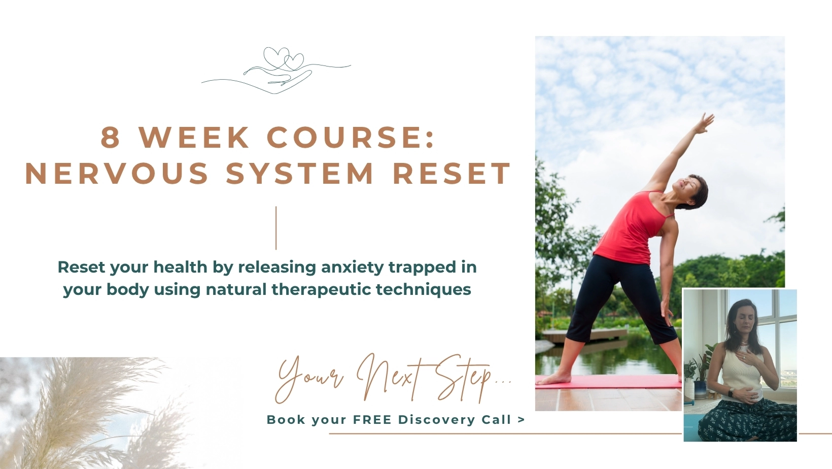 8 week nervous system course for healing and health