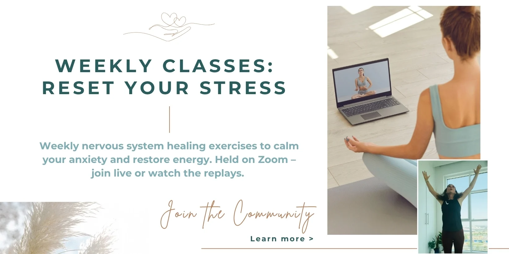 Weekly somatic release classes with nervous system therapies hosted by health coach Ellie Joslin